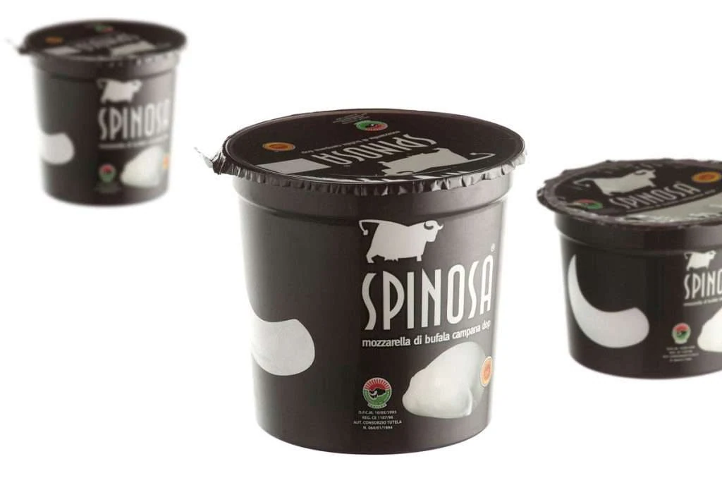 Visual Spinosa 1
