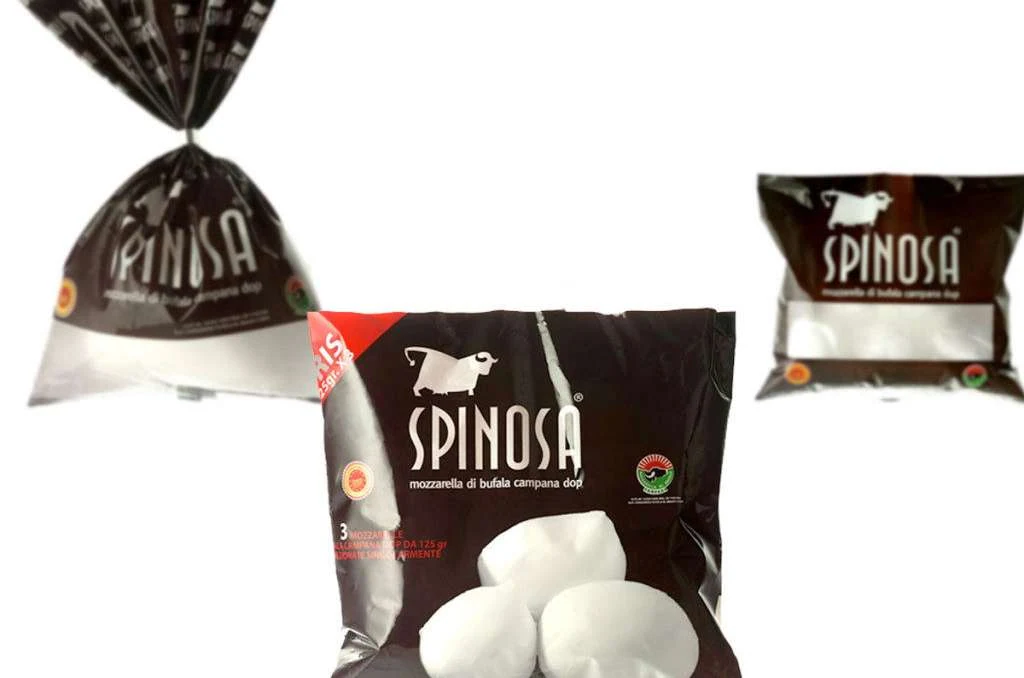 Visual Spinosa 2