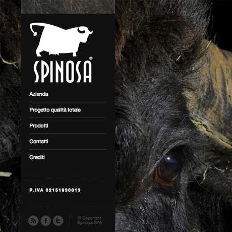 Brand identity Spinosa
