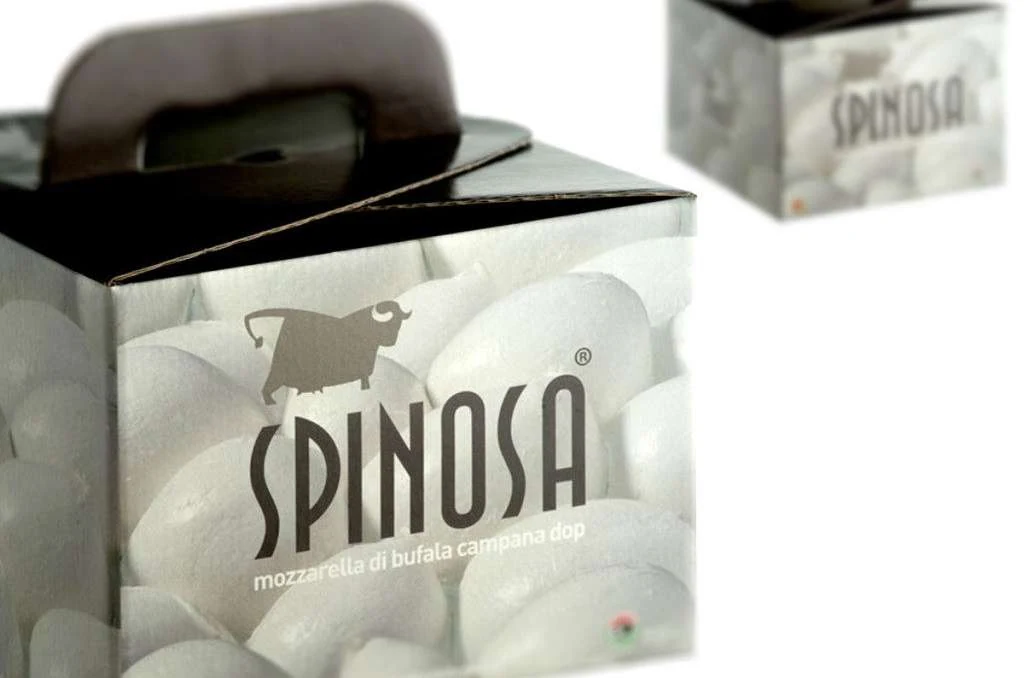 Visual Spinosa 3